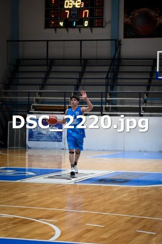 DSC 2220