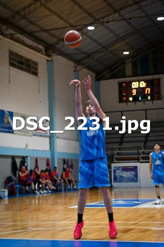 DSC 2231