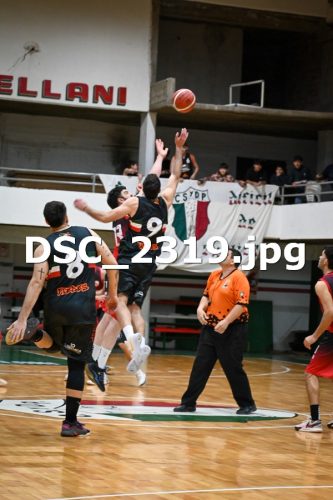 DSC 2319 (1)