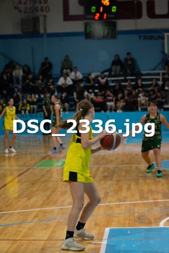 DSC 2336