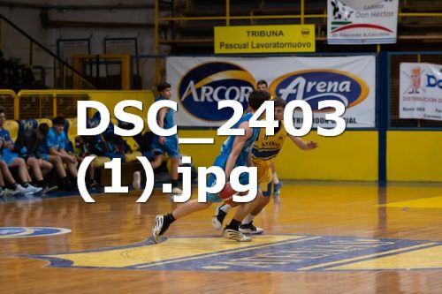 DSC 2403-1