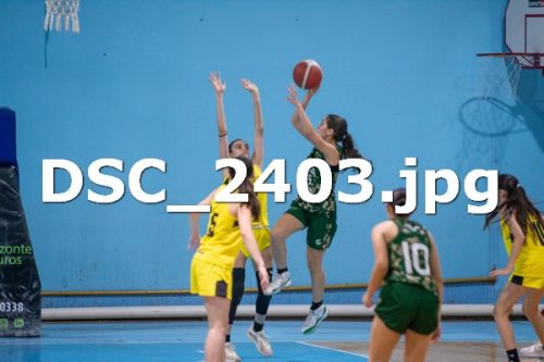DSC 2403