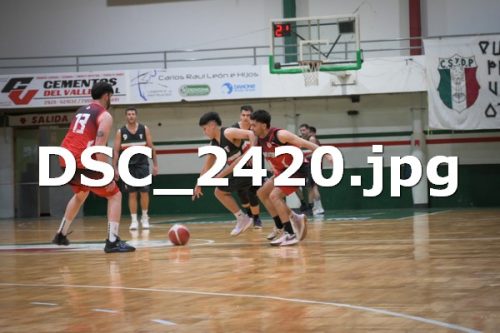 DSC 2420 (1)