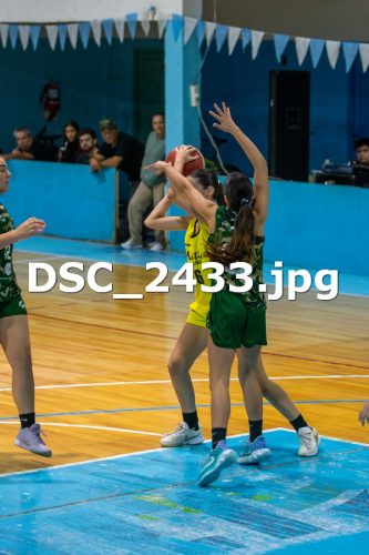 DSC 2433