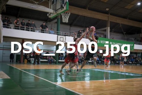 DSC 2500