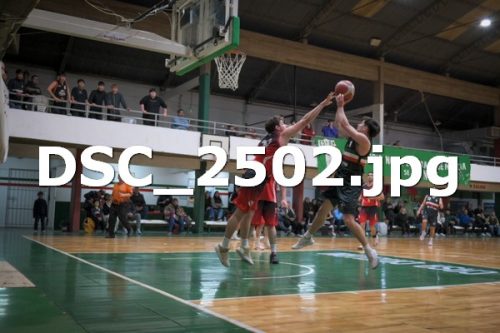 DSC 2502