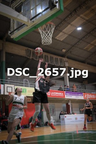 DSC 2657