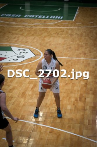 DSC 2702