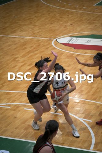 DSC 2706