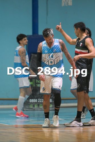 DSC 2894