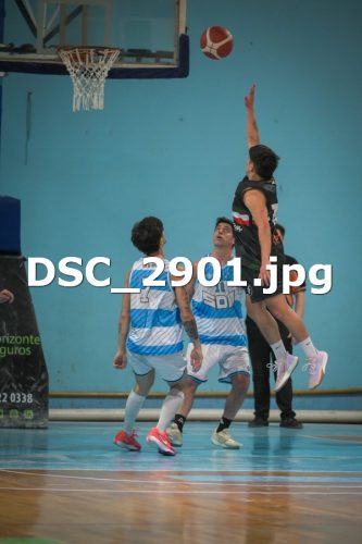 DSC 2901
