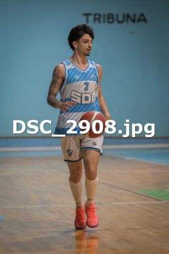 DSC 2908 (1)