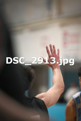 DSC 2913