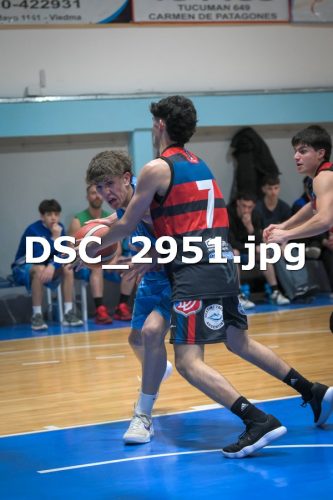 DSC 2951 (1)