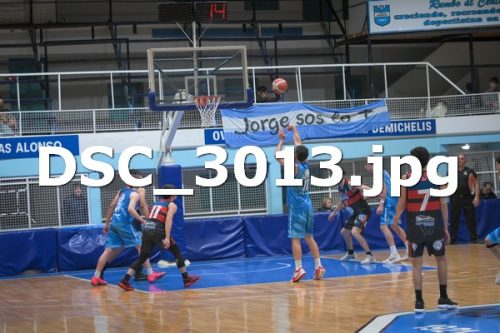 DSC 3013
