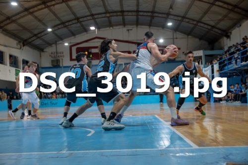 DSC 3019