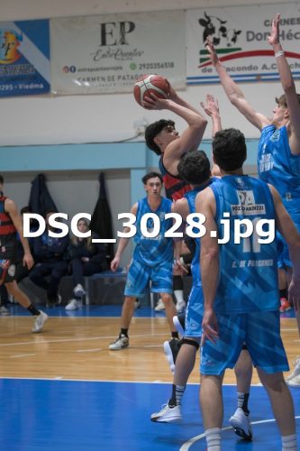 DSC 3028