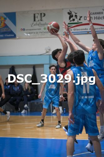 DSC 3029