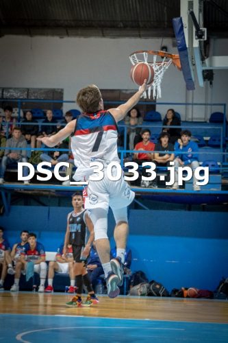 DSC 3033