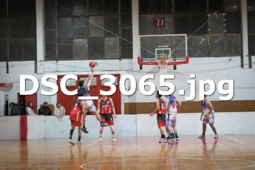DSC 3065