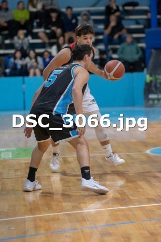DSC 3066