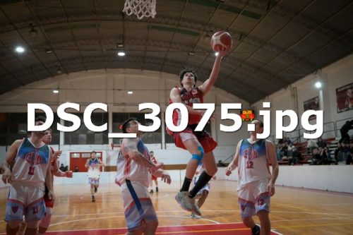 DSC 3075