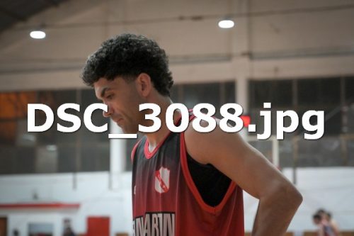 DSC 3088