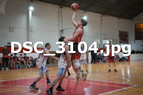 DSC 3104