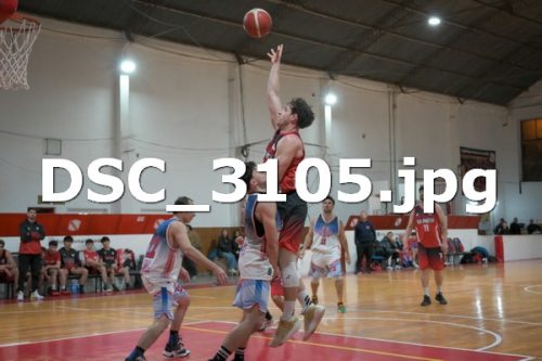 DSC 3105