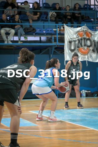 DSC 3118