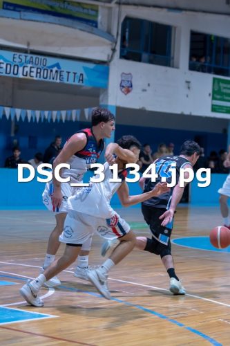 DSC 3134