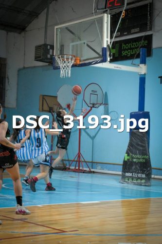 DSC 3193