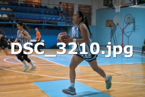 DSC 3210 (1)