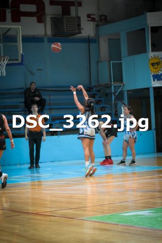 DSC 3262