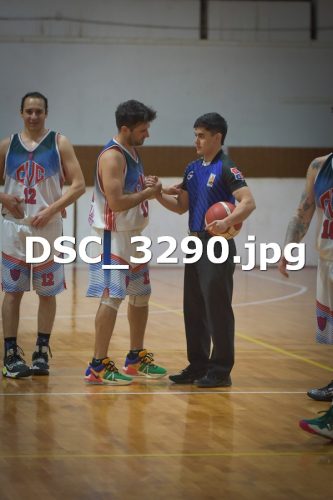 DSC 3290