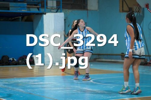 DSC 3294-1