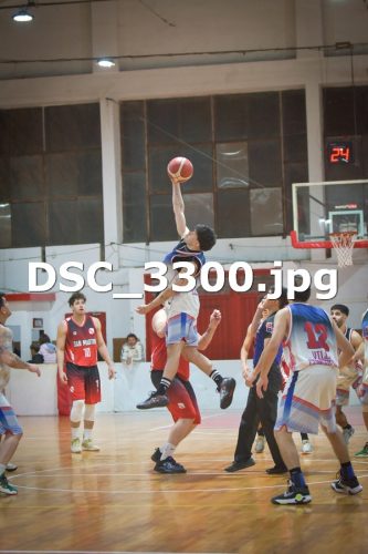 DSC 3300