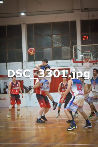 DSC 3301