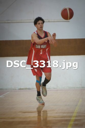DSC 3318