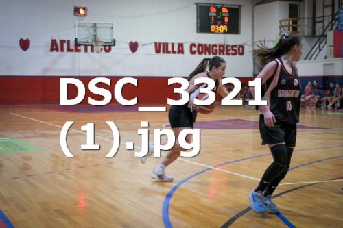 DSC 3321-1