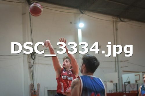 DSC 3334