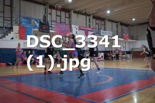 DSC 3341-1