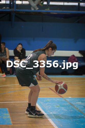 DSC 3356