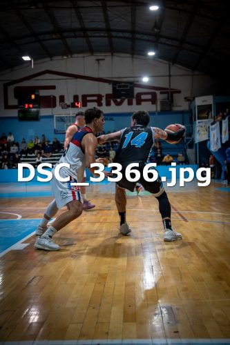 DSC 3366