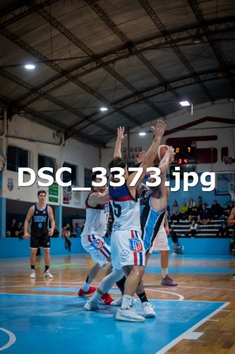 DSC 3373
