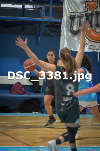 DSC 3381