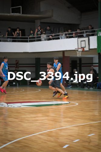 DSC 3394