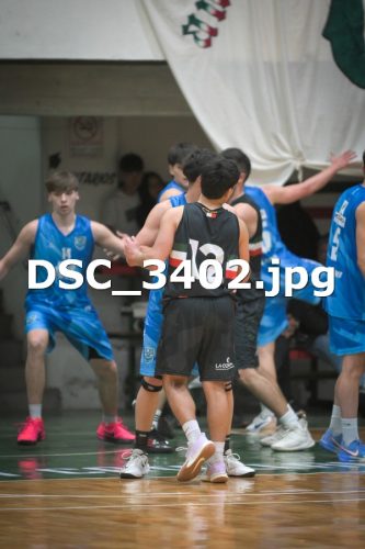 DSC 3402