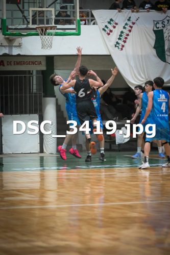 DSC 3419