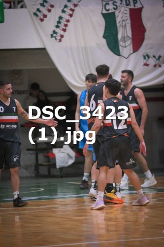 DSC 3423-1